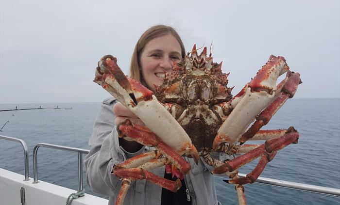Massive spider crab on an Epic Fishing Trip